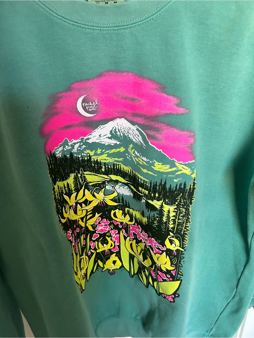 Rachel Pohl Cascades Seafoam Sweatshirt M - Picture 6 of 7